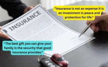 Important Insurance Tips For Life