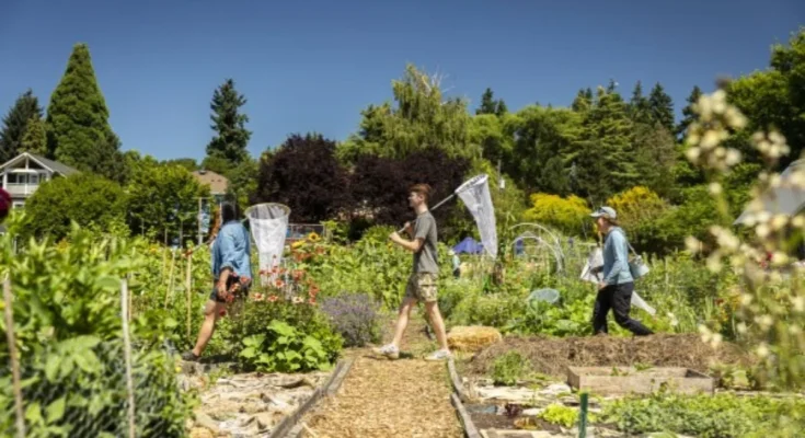 How repeating decades old experiments can help us understand how organisms change over time