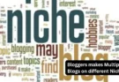 Bloggers makes Multiple Blogs on different Niche