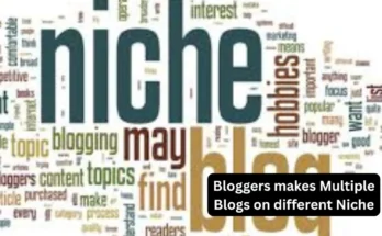 Bloggers makes Multiple Blogs on different Niche