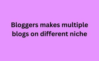 Bloggers makes multiple blogs on different niche