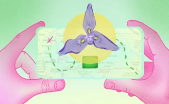 CBS Sunday Morning Public Helps Scientists Map Plants via App