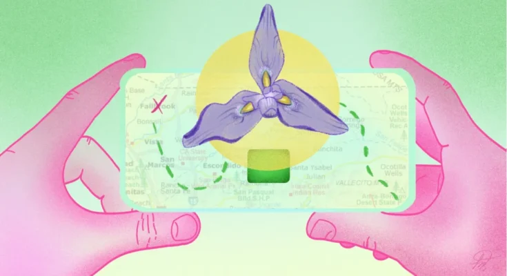 CBS Sunday Morning Public Helps Scientists Map Plants via App