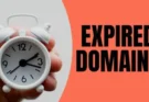 Go Daddy Lists 29 Registrars Sending Expired Domains to Auction