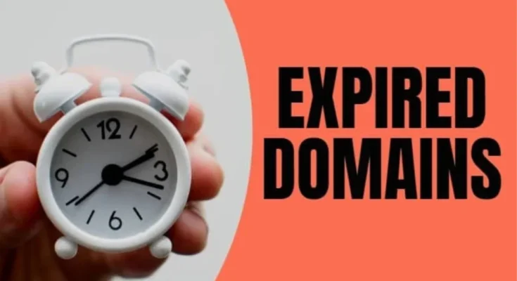 Go Daddy Lists 29 Registrars Sending Expired Domains to Auction