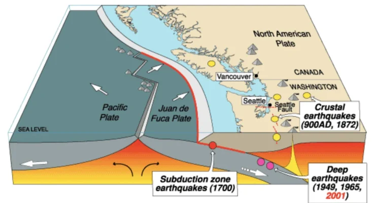 Stress Testing the Cascadia Subduction Zone Reveals Variability That Could Impact How Earthquakes Spread UW News