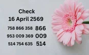 Check Results For 16 April 2569 : Thailand Lottery Second Tips Papers