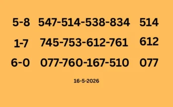 3d tips single sets of 16-5-2026