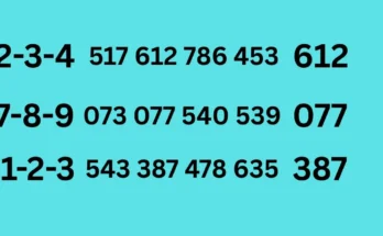 Common tips of 1-6-2026