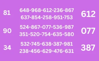 Basic tips of 1-6-2026
