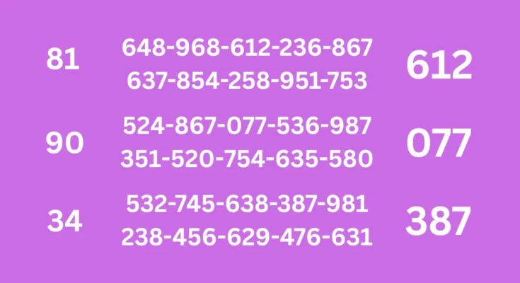 Basic tips of 1-6-2026