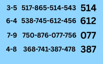 Single tips of 1-6-2026