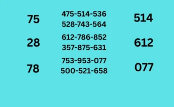 3d tips final tips sets of 16-5-2026