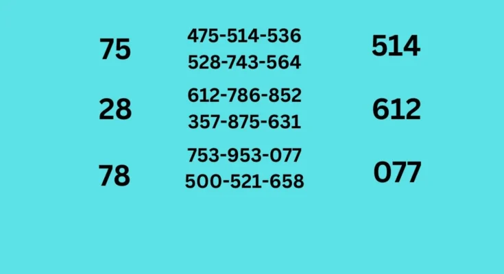 3d tips final tips sets of 16-5-2026