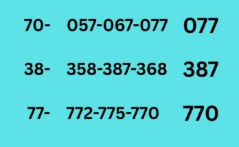 Eleventh tips of 16-6-2026
