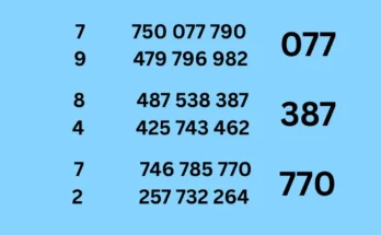 Eighth tips of 16-6-2026