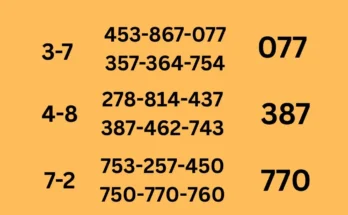 Beginning tips of 16-6-2026