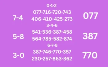 Twelfth tips for 16-6-2026