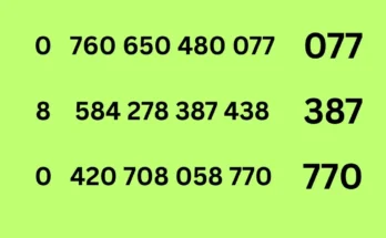 Ninth tips of 16-6-2026