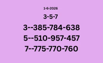 Seventh tips of 16-6-2026