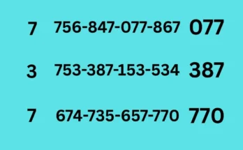 Third tips of 16-6-2026